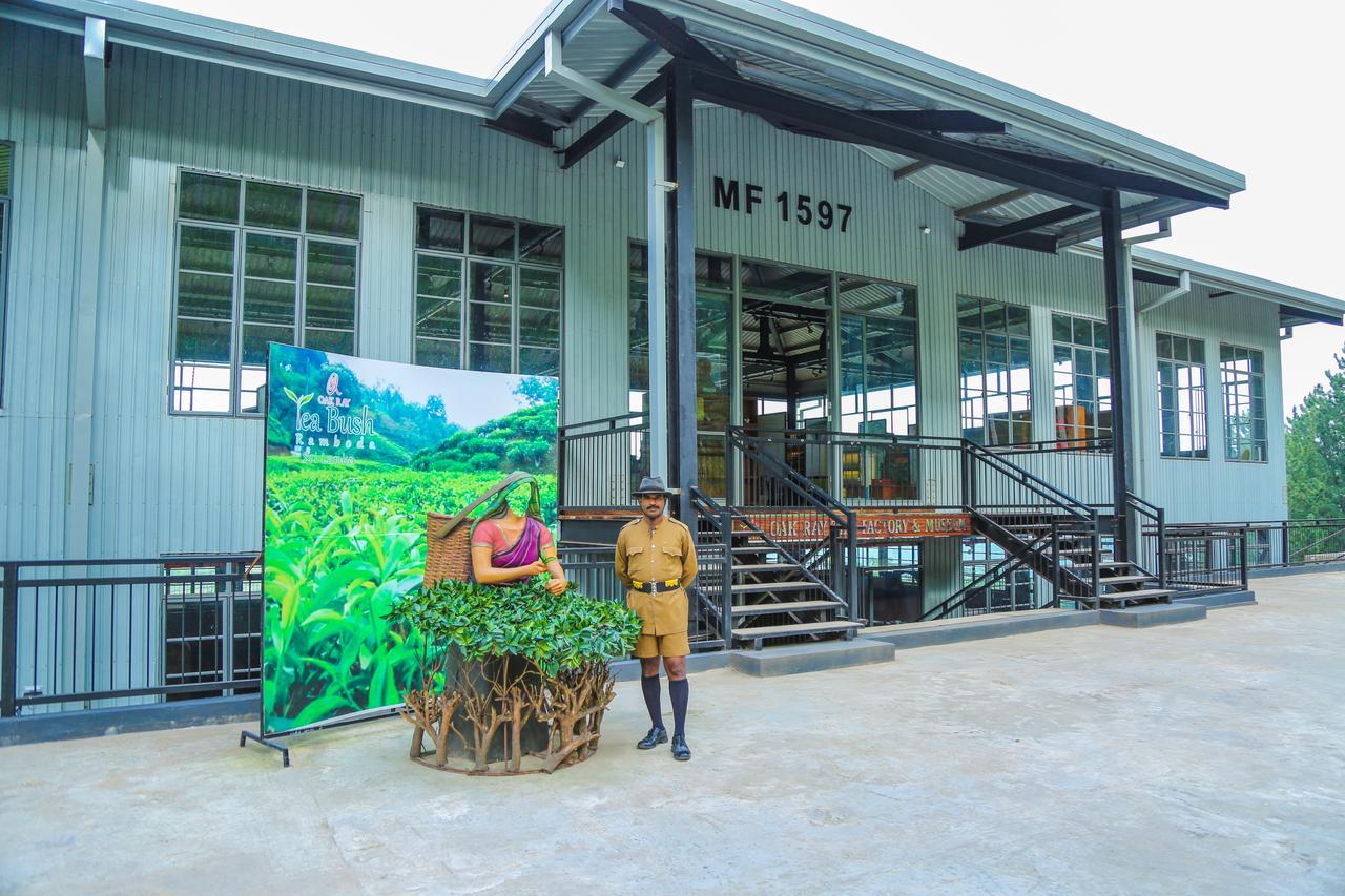 Oak Ray Tea Bush Hotel Ramboda Luaran gambar